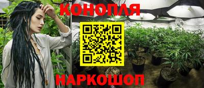 ешки Гулькевичи