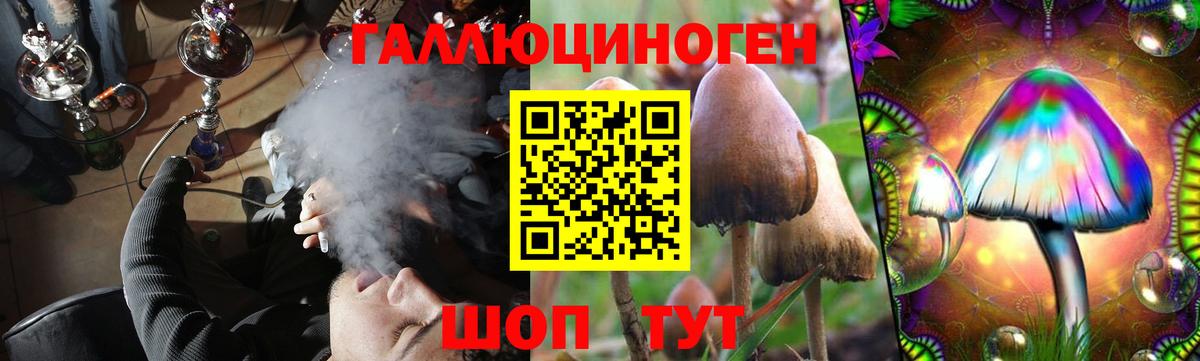 Галлюциногенные грибы Psilocybine cubensis  Вход с VPN  Новоалександровск 